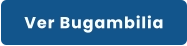 Ver Bugambilia