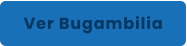 Ver Bugambilia