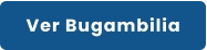 Ver Bugambilia