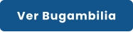 Ver Bugambilia